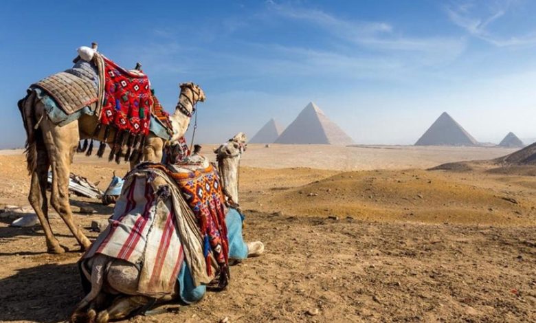 إيرادات السياحة المصرية تستهدف تجاوز 20 مليار دولار في 2026 بدعم ارتفاع أسعار الإقامة وزيادة الإنفاق السياحي