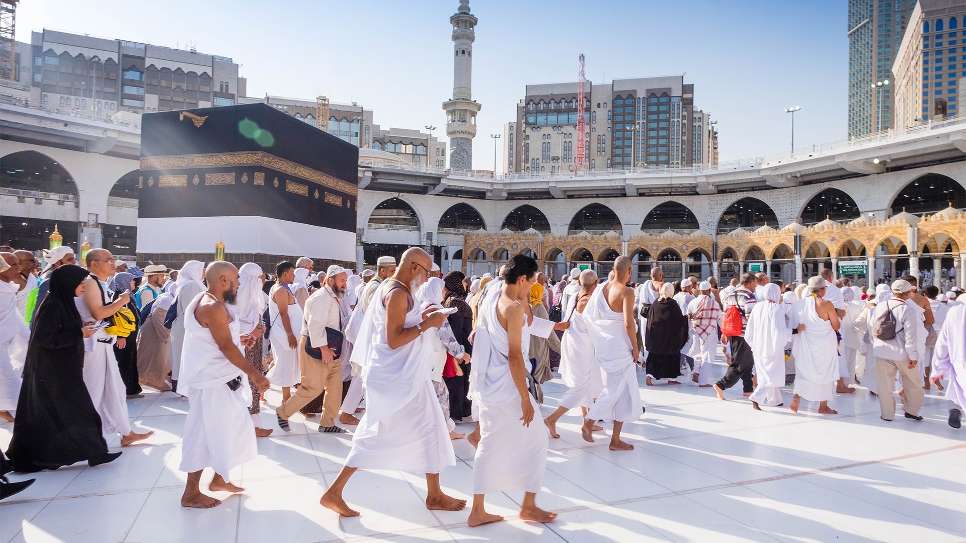 غرفة السياحة تصعيد واستبدال حجاج السياحة بالدور، ويخضع لضوابط صارمة تحت إشراف الوزارةً
